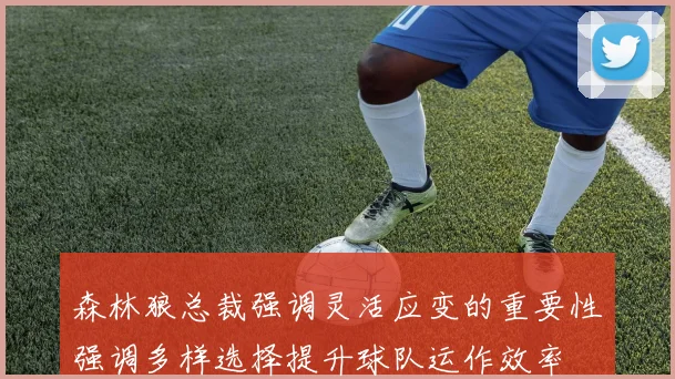 森林狼总裁强调灵活应变的重要性强调多样选择提升球队运作效率